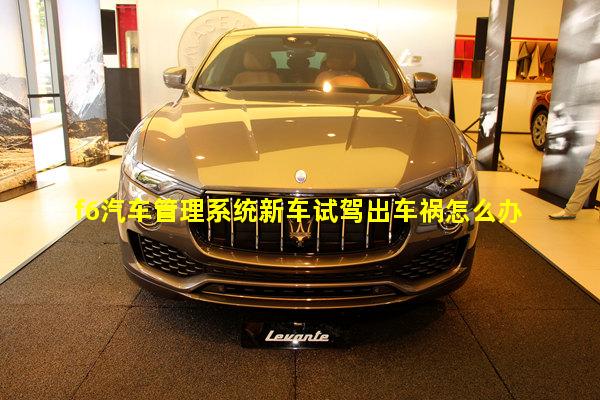 f6汽车管理系统新车试驾出车祸怎么办
