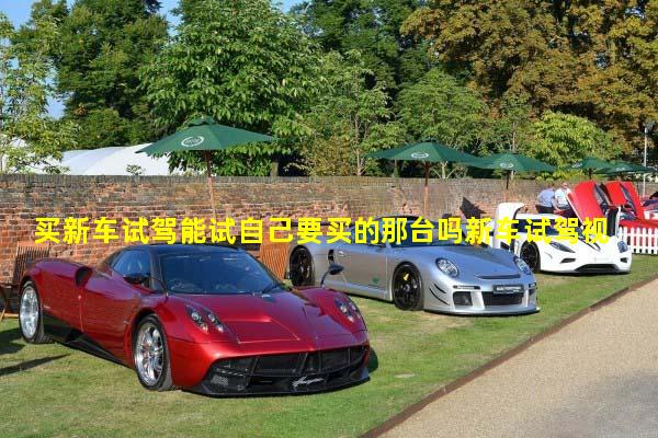 买新车试驾能试自己要买的那台吗新车试驾视频全过程教程