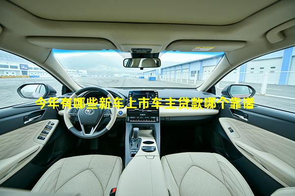 今年有哪些新车上市车主贷款哪个靠谱