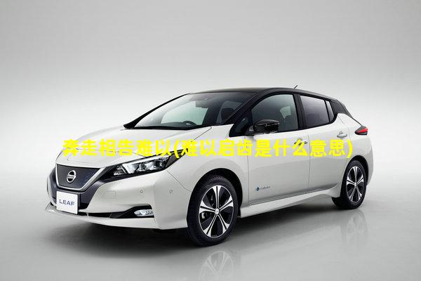 奔走相告难以(难以启齿是什么意思)