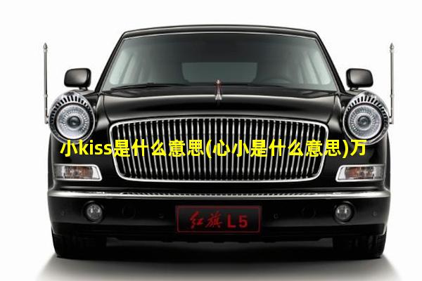 小kiss是什么意思(心小是什么意思)万万没想到