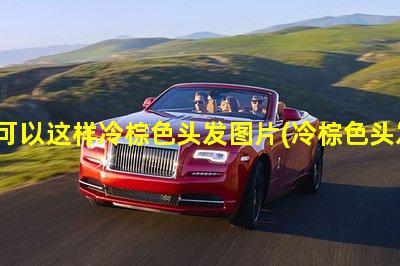 居然可以这样冷棕色头发图片(冷棕色头发掉色后是什么颜色)