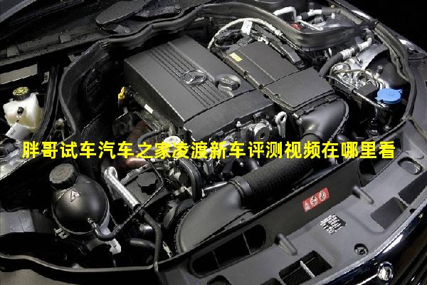 胖哥试车汽车之家凌渡新车评测视频在哪里看啊