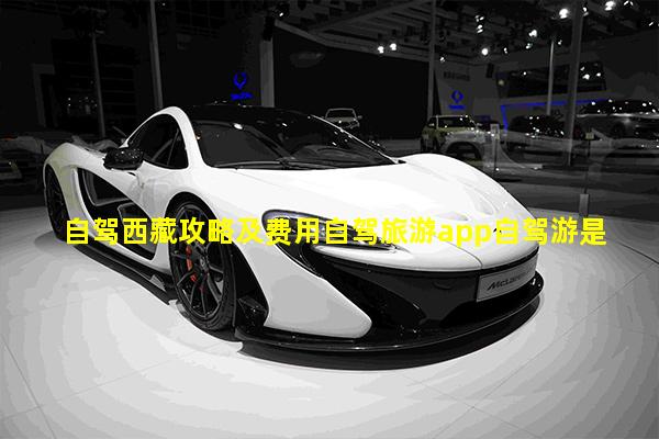 自驾西藏攻略及费用自驾旅游app自驾游是开自己的车吗